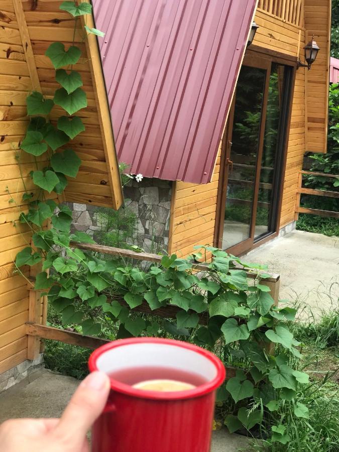 Foga Bungalov Çamlıhemşin Buitenkant foto
