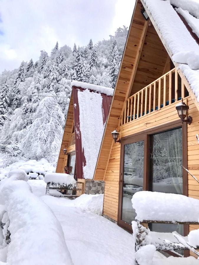Foga Bungalov Çamlıhemşin Buitenkant foto